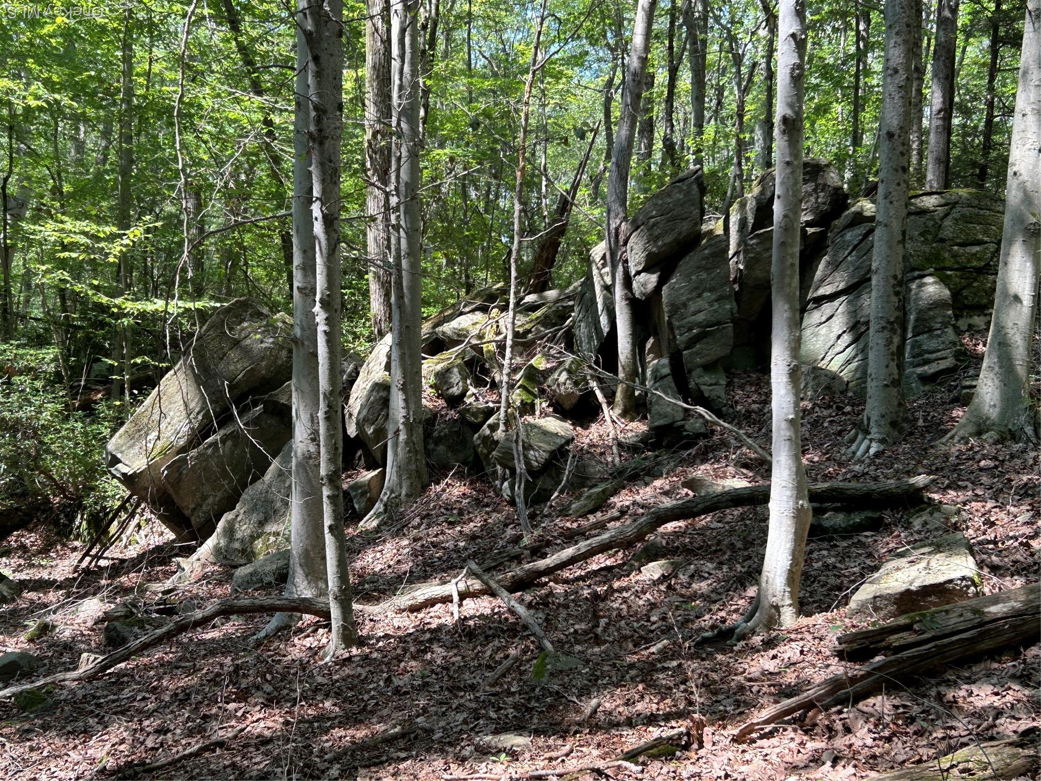 Single Family Eastwoods  Westchester County, NY 10576, MLS-921323-8