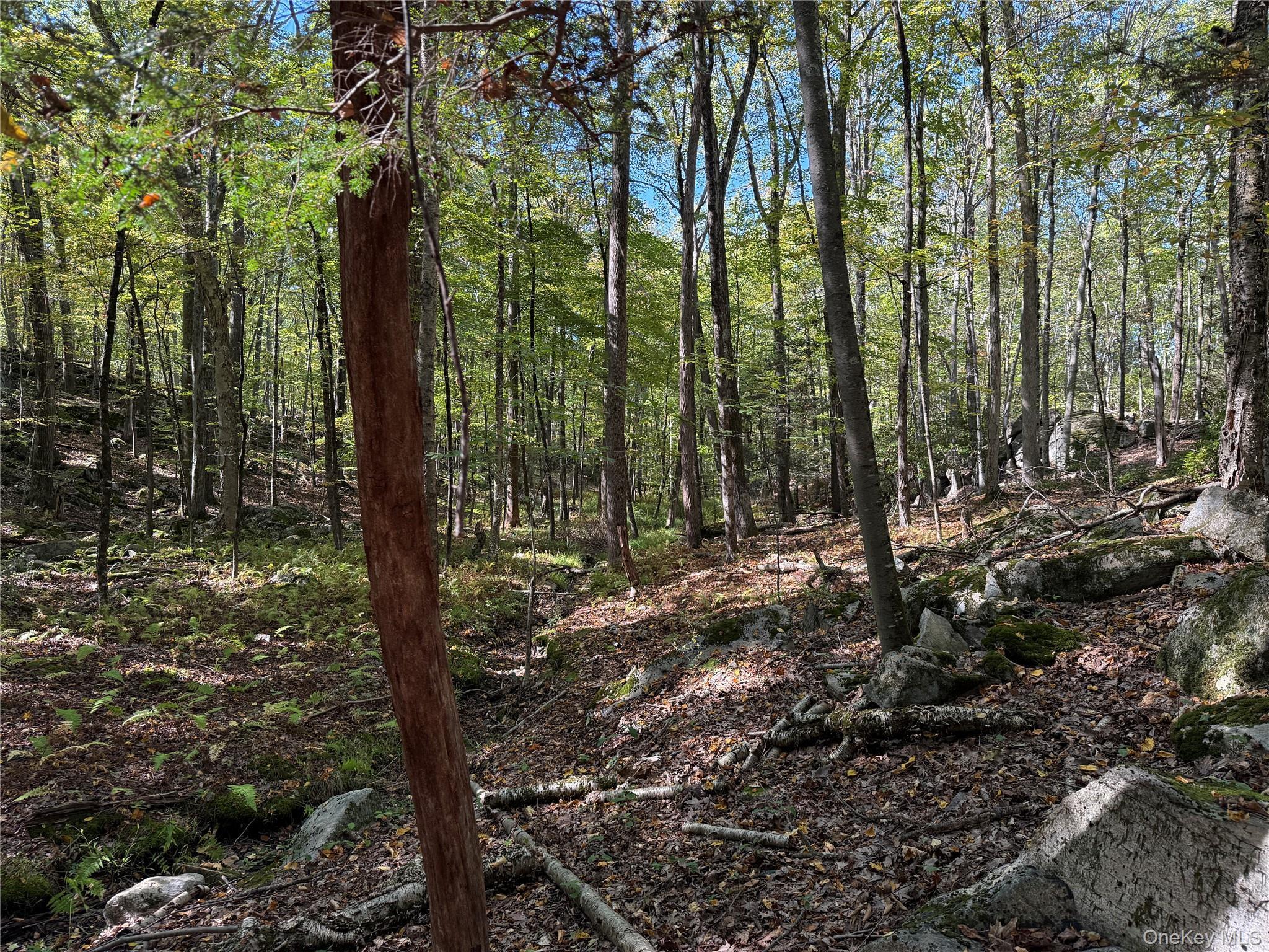 Single Family Eastwoods  Westchester County, NY 10576, MLS-921323-9