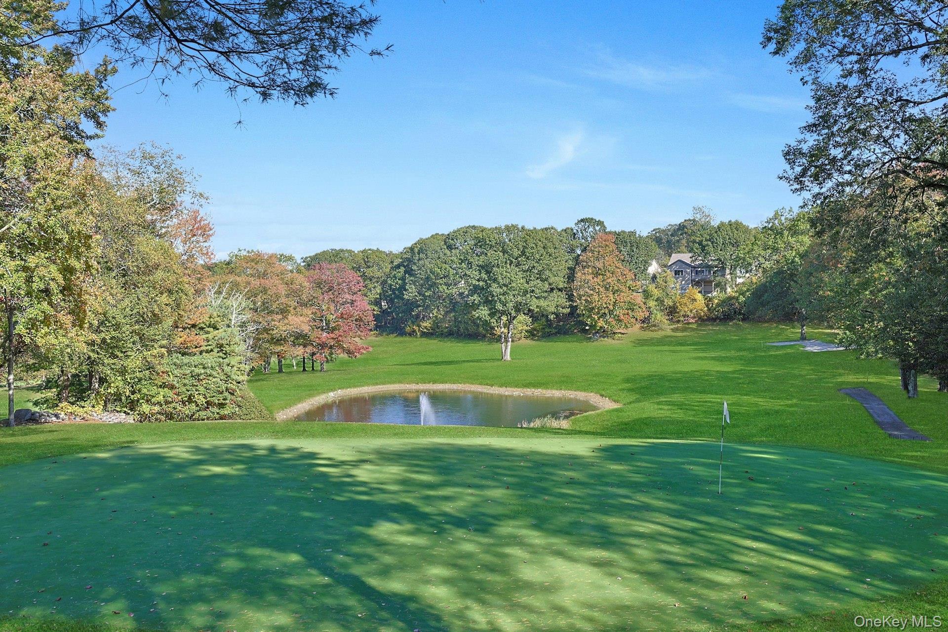 Condo Heritage Hills  Westchester County, NY 10589, MLS-921343-33