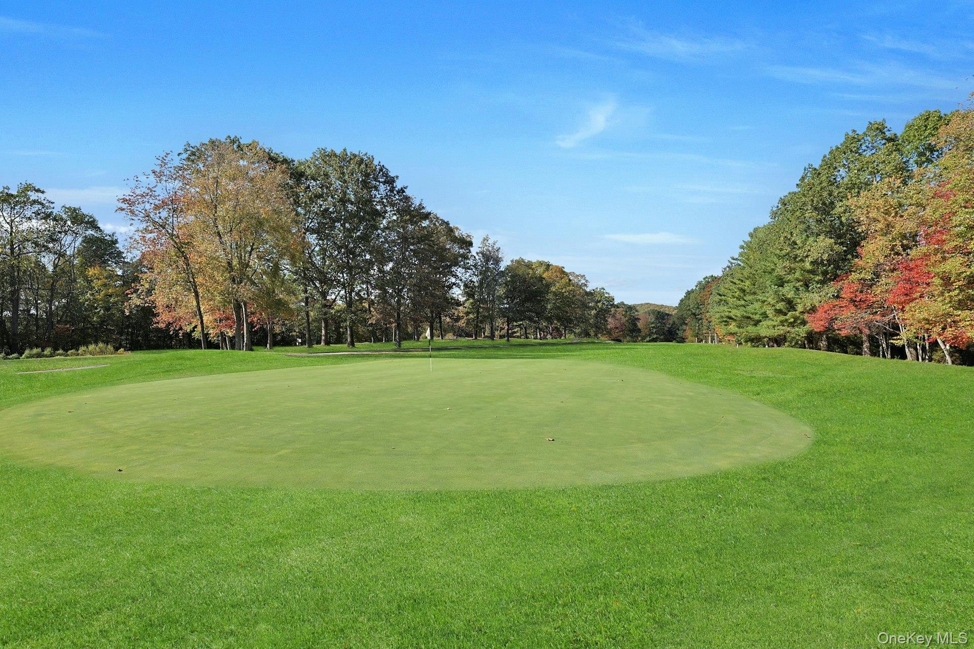 Condo Heritage Hills  Westchester County, NY 10589, MLS-921343-36