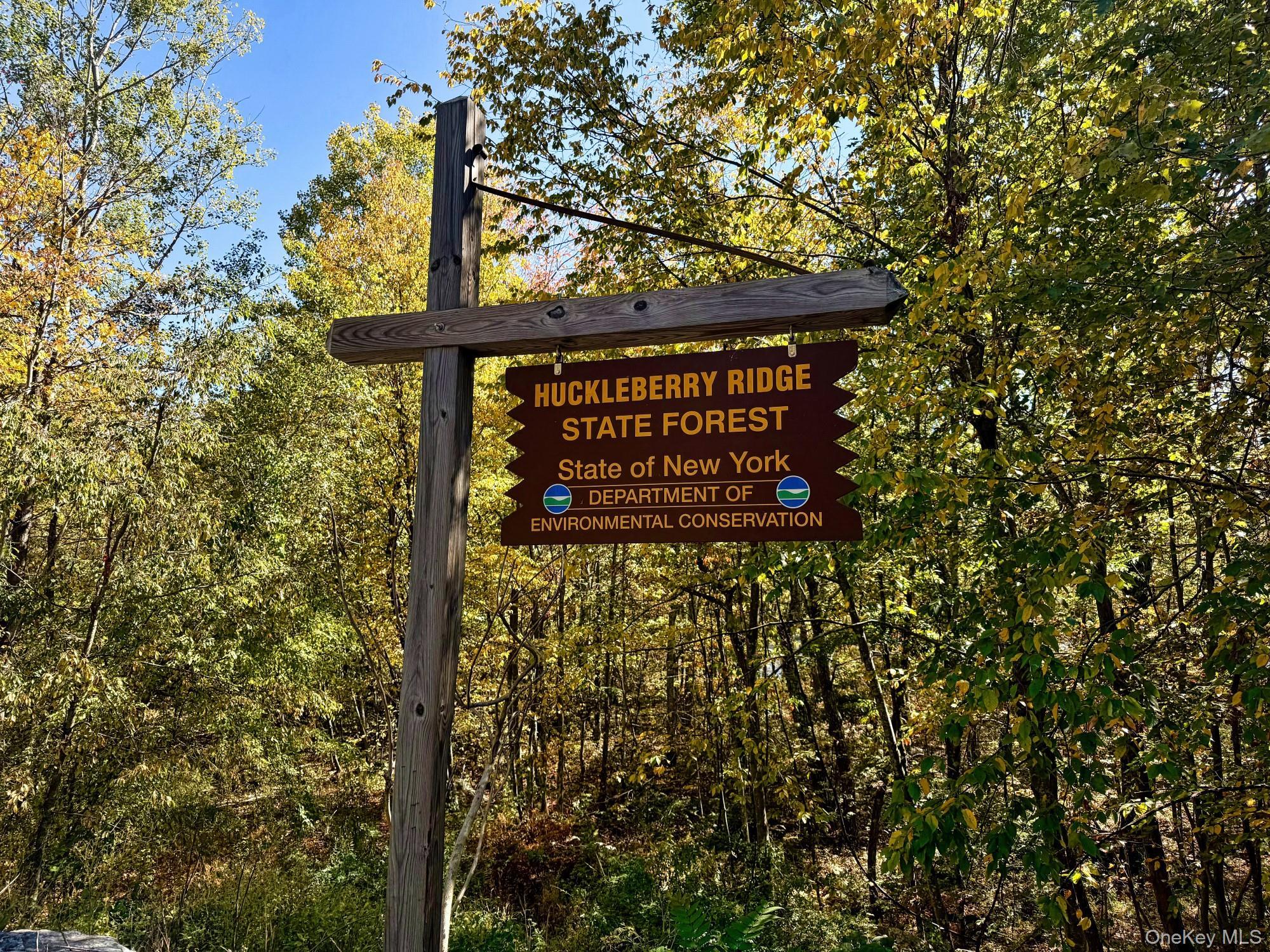 Single Family Raymond  Orange County, NY 12771, MLS-921365-12