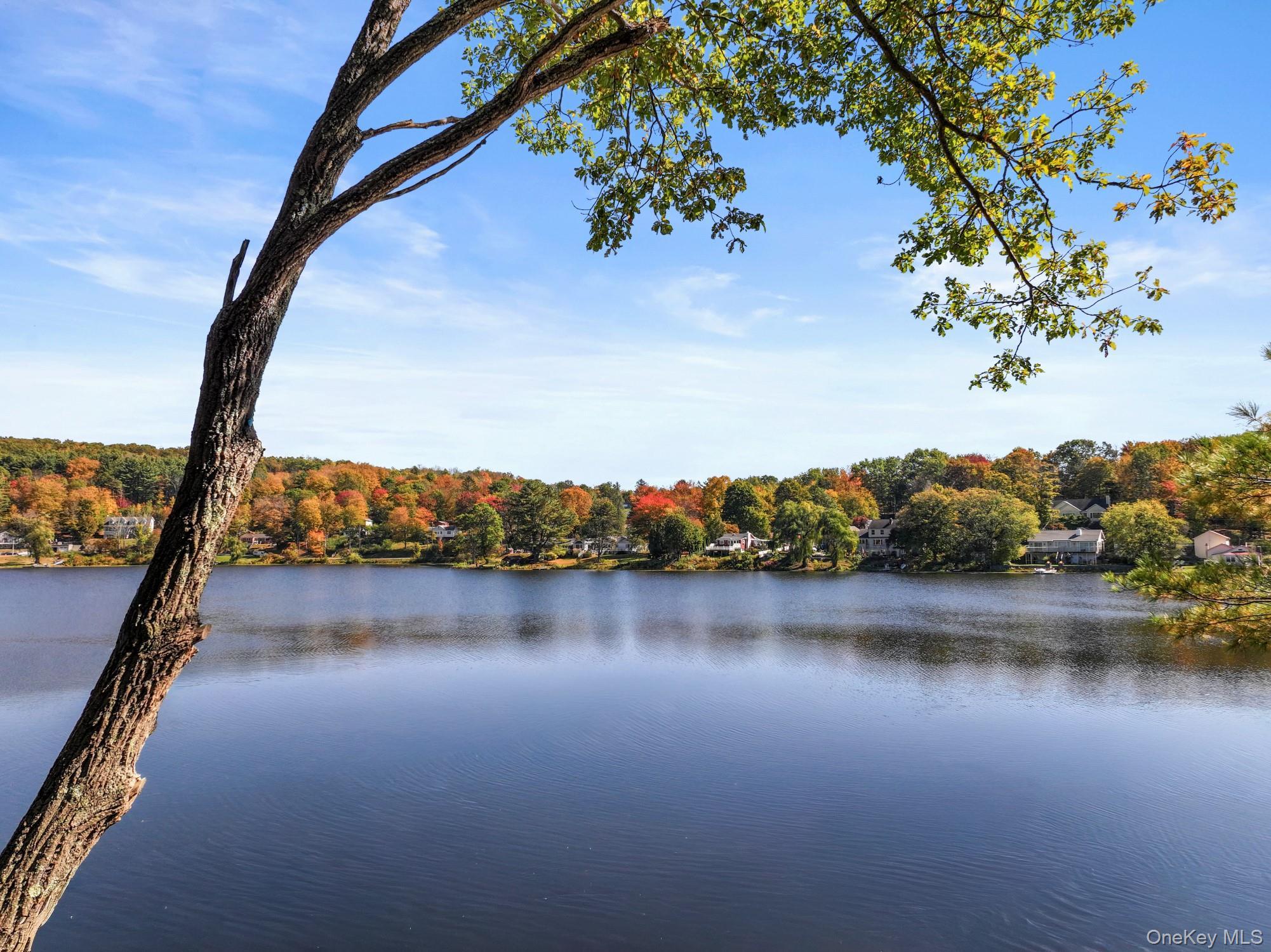 Single Family Raymond  Orange County, NY 12771, MLS-921365-14