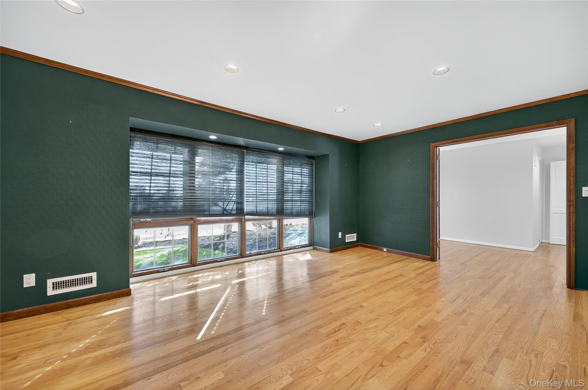 Single Family Hummingbird Nassau County, NY 11576, MLS-921424-4