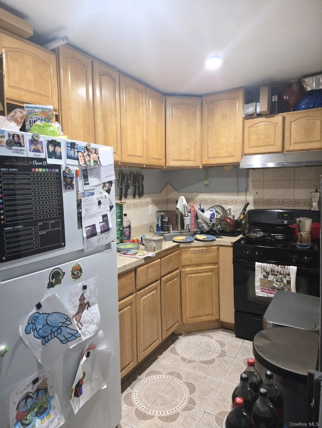 Single Family 135th  Queens, NY 11436, MLS-921479-11