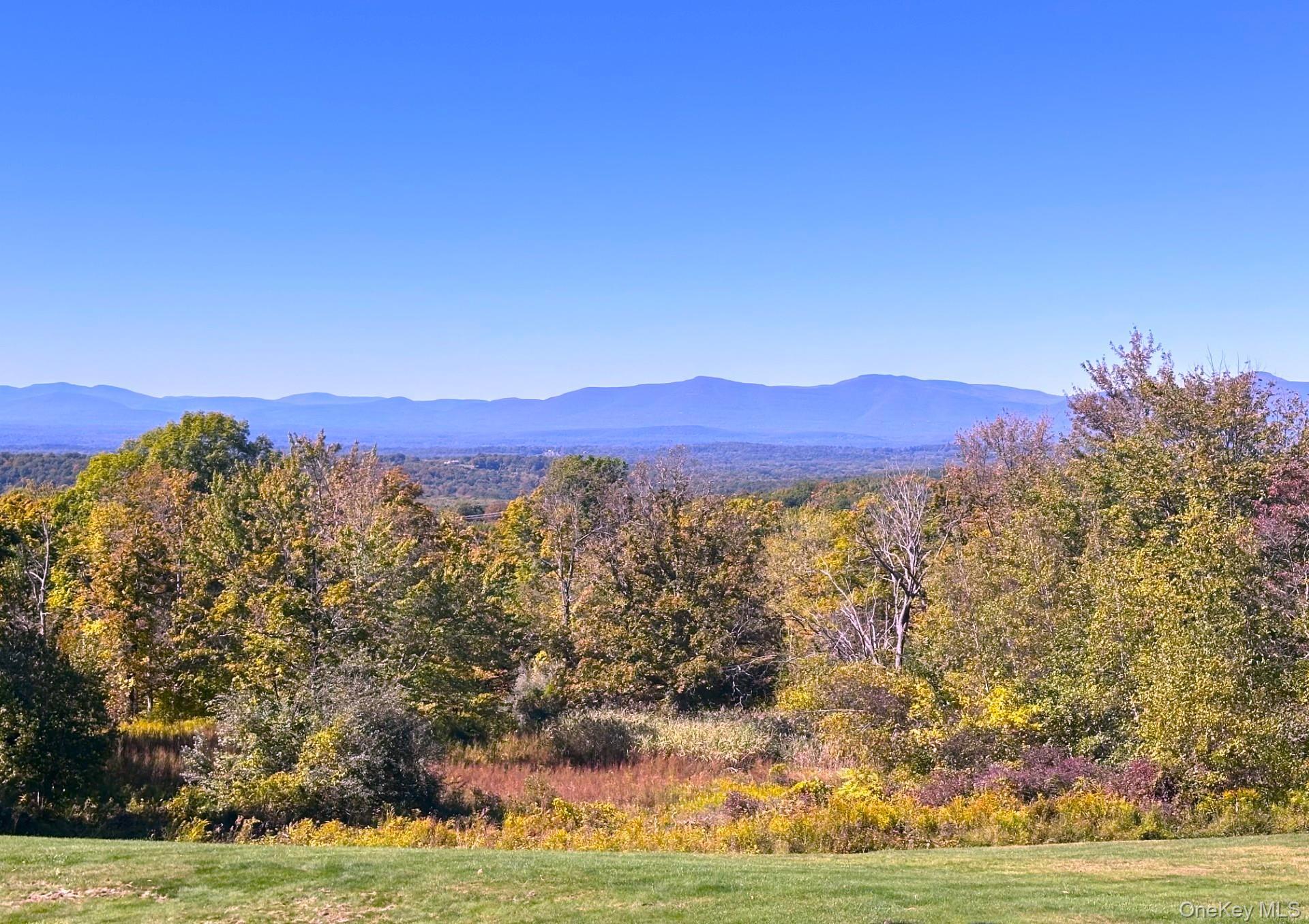 Single Family Turkey Hill Road Dutchess County, NY 12571, MLS-921530-5