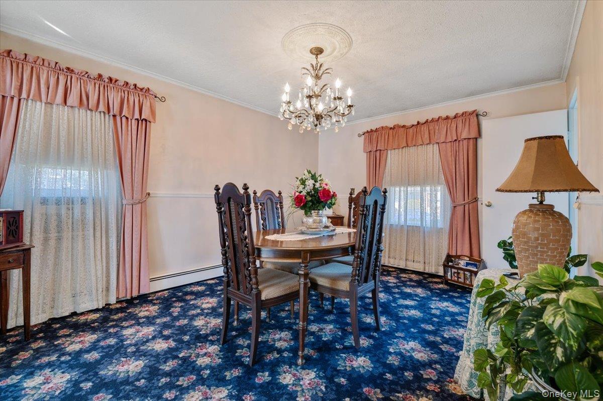 Single Family Mallard  Nassau County, NY 11756, MLS-921587-7