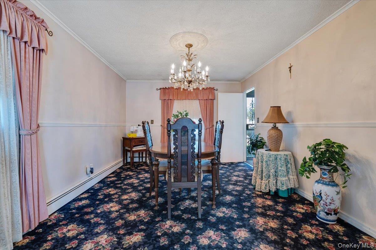 Single Family Mallard  Nassau County, NY 11756, MLS-921587-9