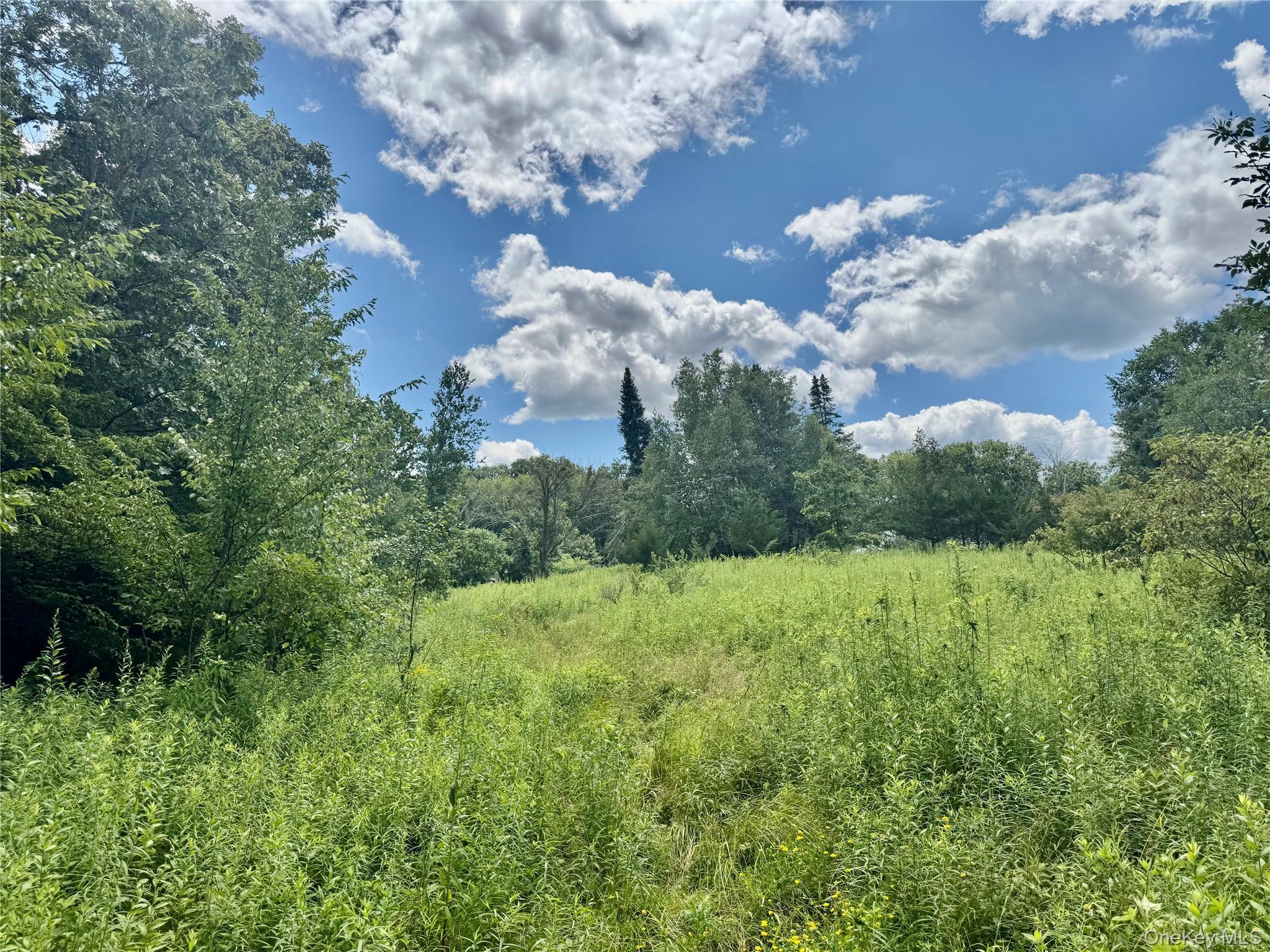 Single Family Homestead  Orange County, NY 10963, MLS-921602-20