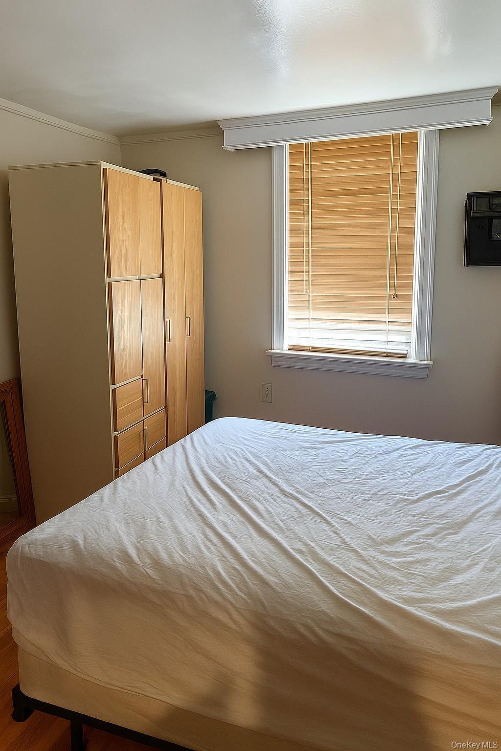 Single Family 48th Brooklyn, NY 11203, MLS-921616-4