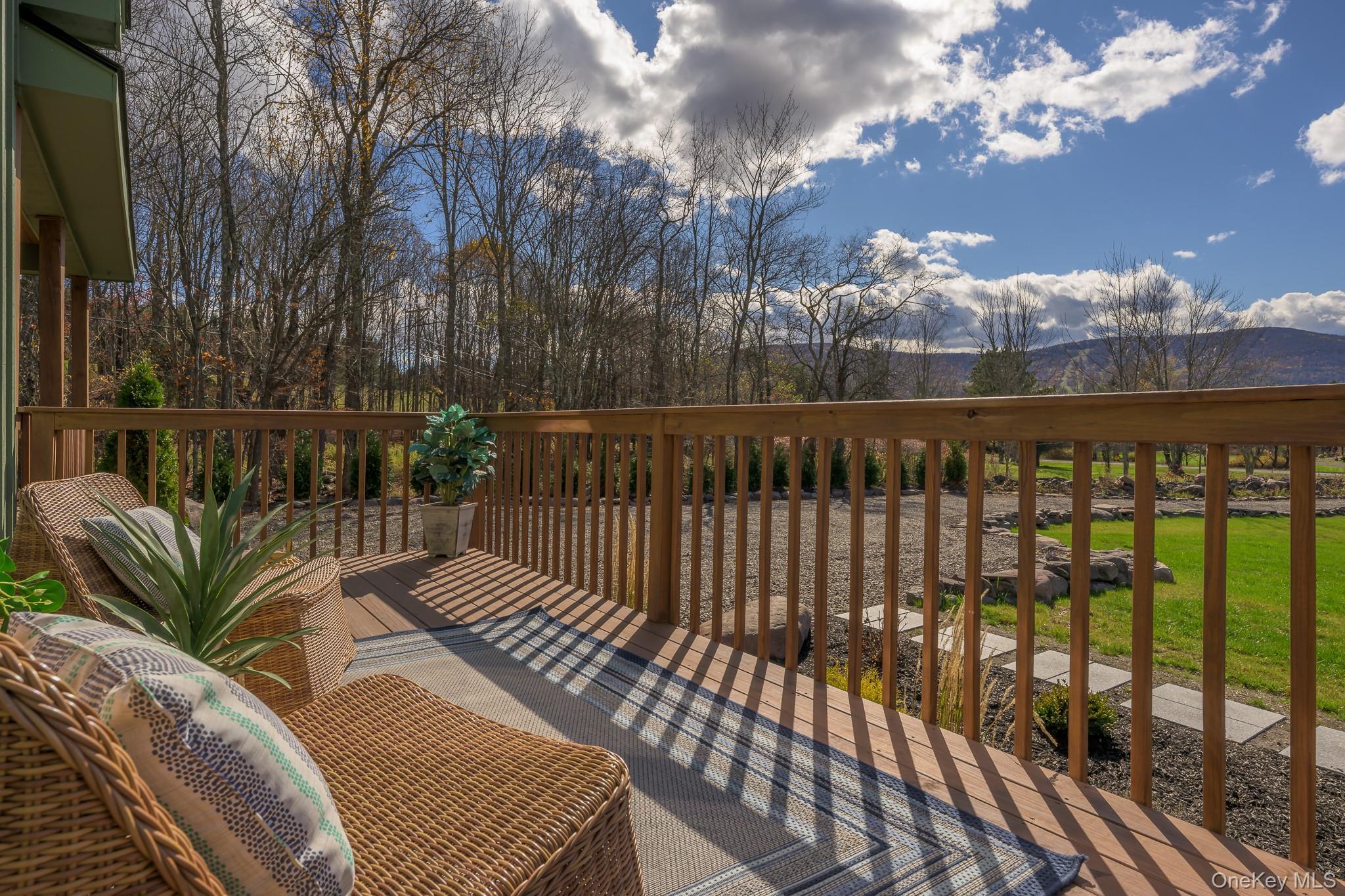 Single Family Brook Hollow  Greene County, NY 12496, MLS-921643-3