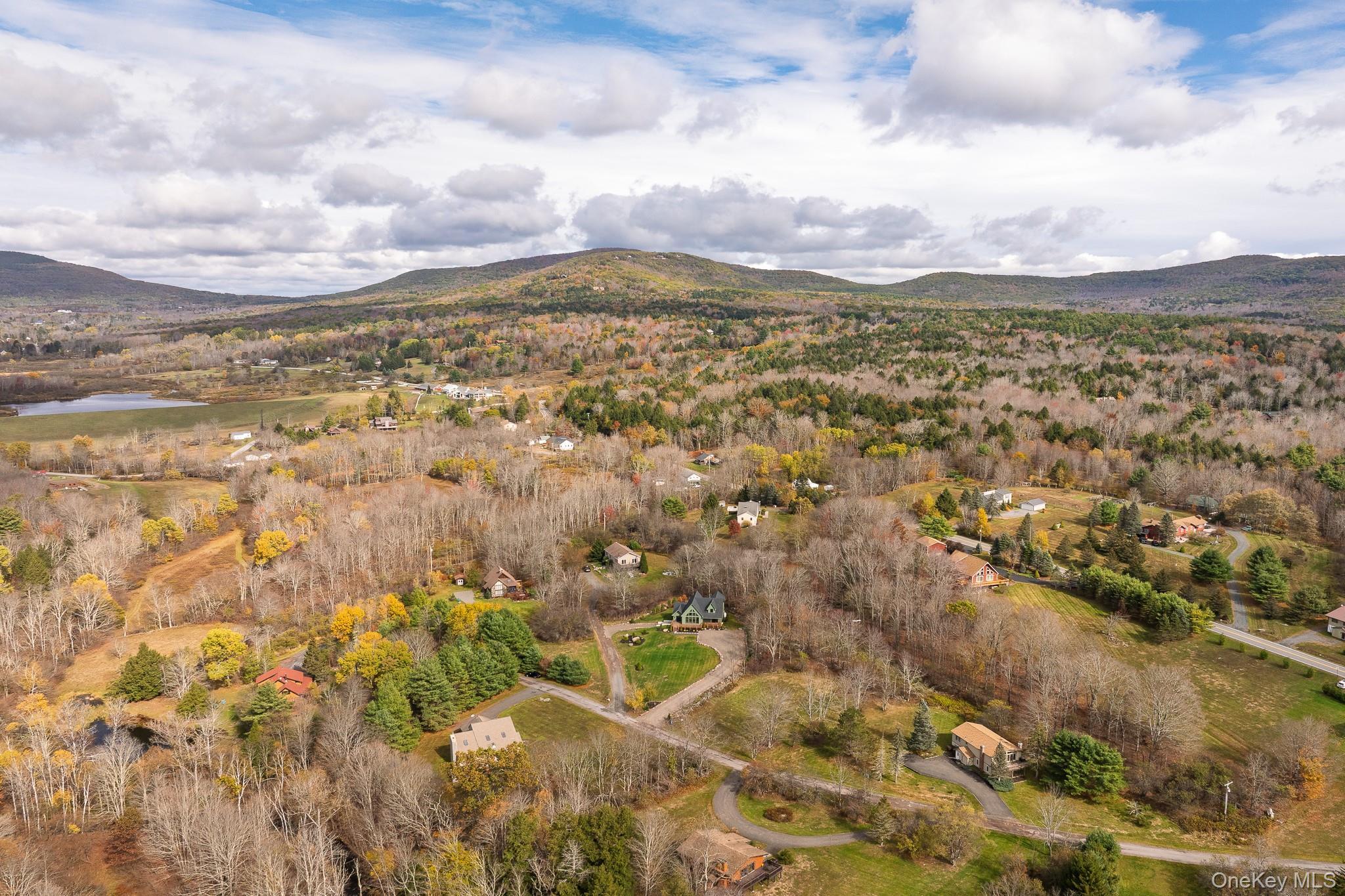 Single Family Brook Hollow  Greene County, NY 12496, MLS-921643-34