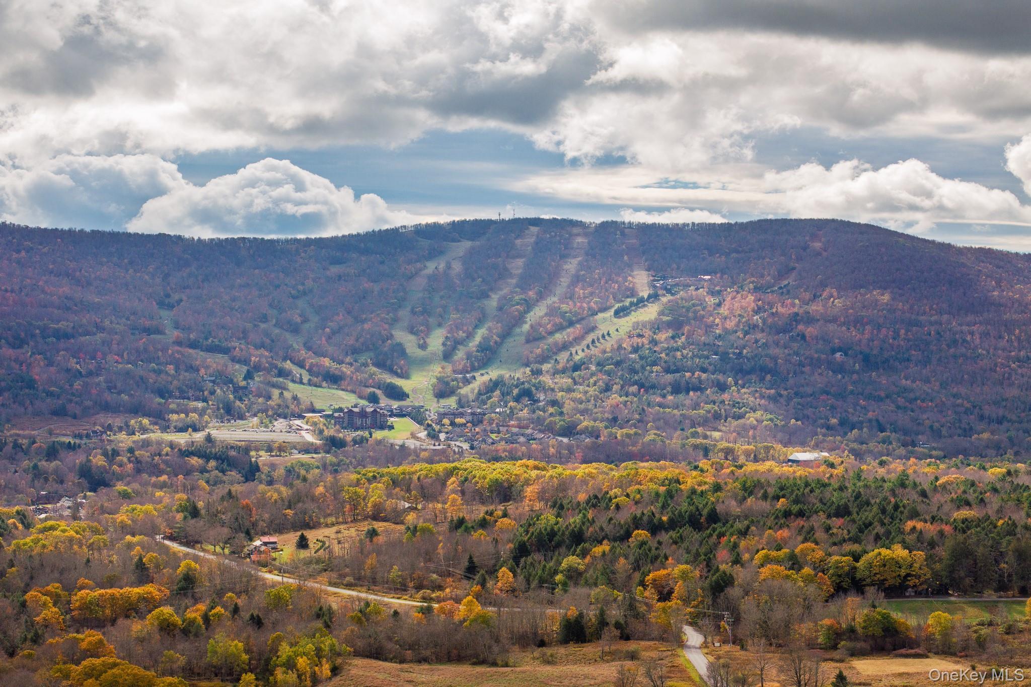 Single Family Brook Hollow  Greene County, NY 12496, MLS-921643-35