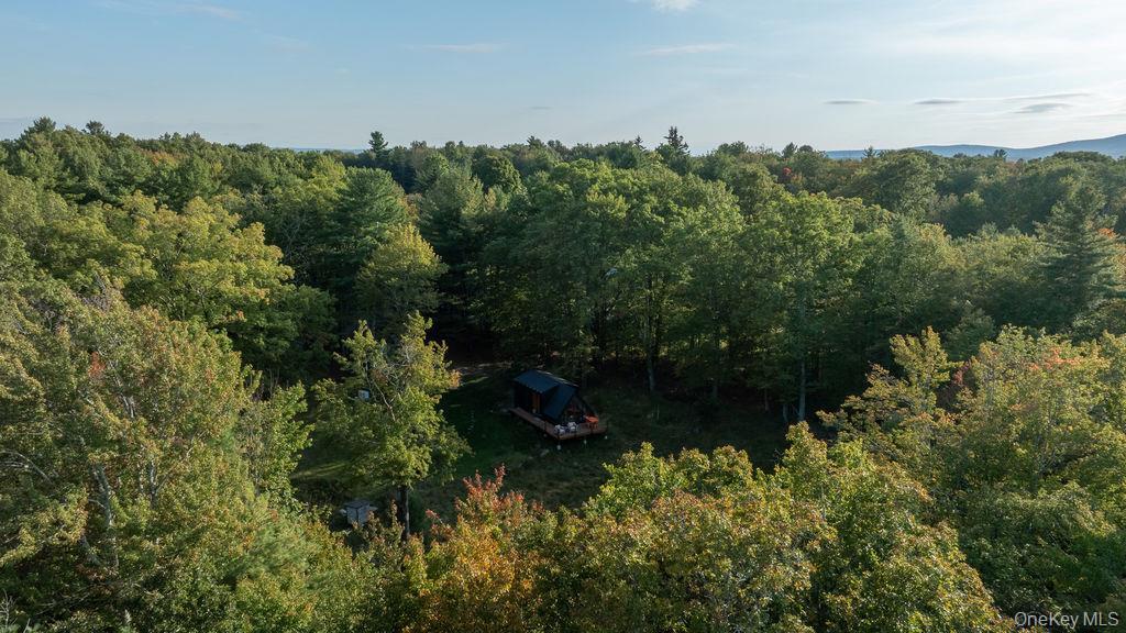 Single Family Kelder Ulster County, NY 12461, MLS-921716-16