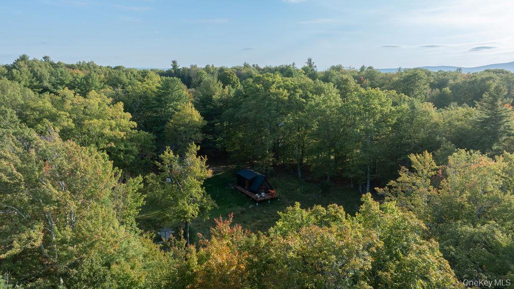 Single Family Kelder Ulster County, NY 12461, MLS-921716-18