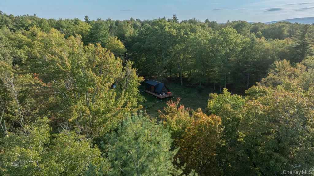 Single Family Kelder Ulster County, NY 12461, MLS-921716-22