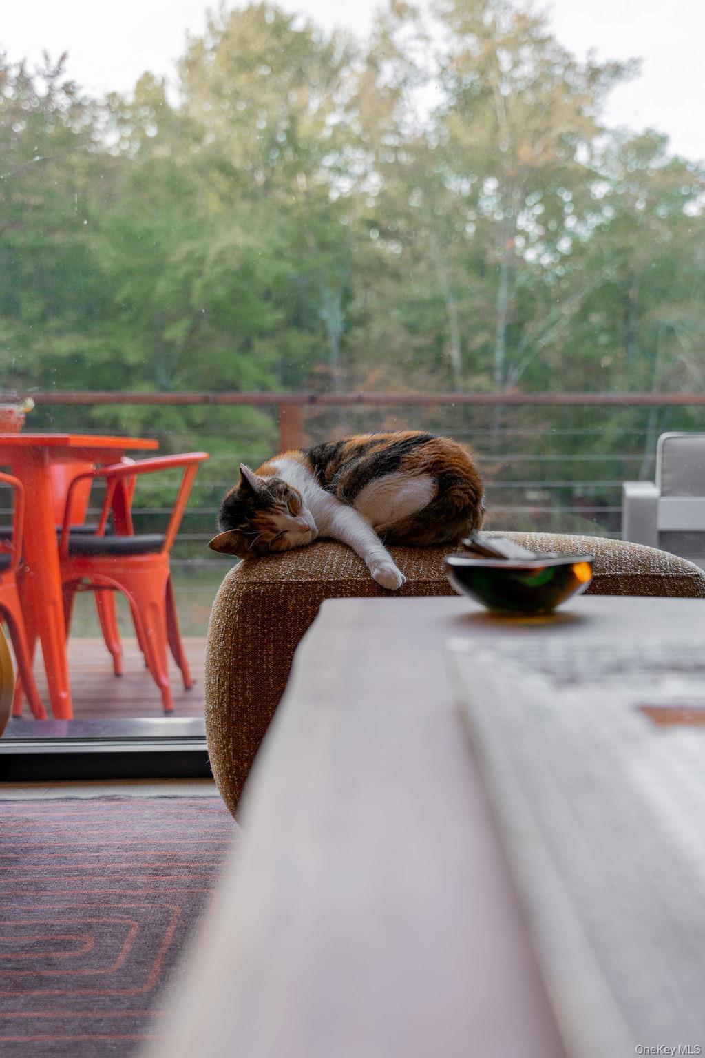 Single Family Kelder Ulster County, NY 12461, MLS-921716-32