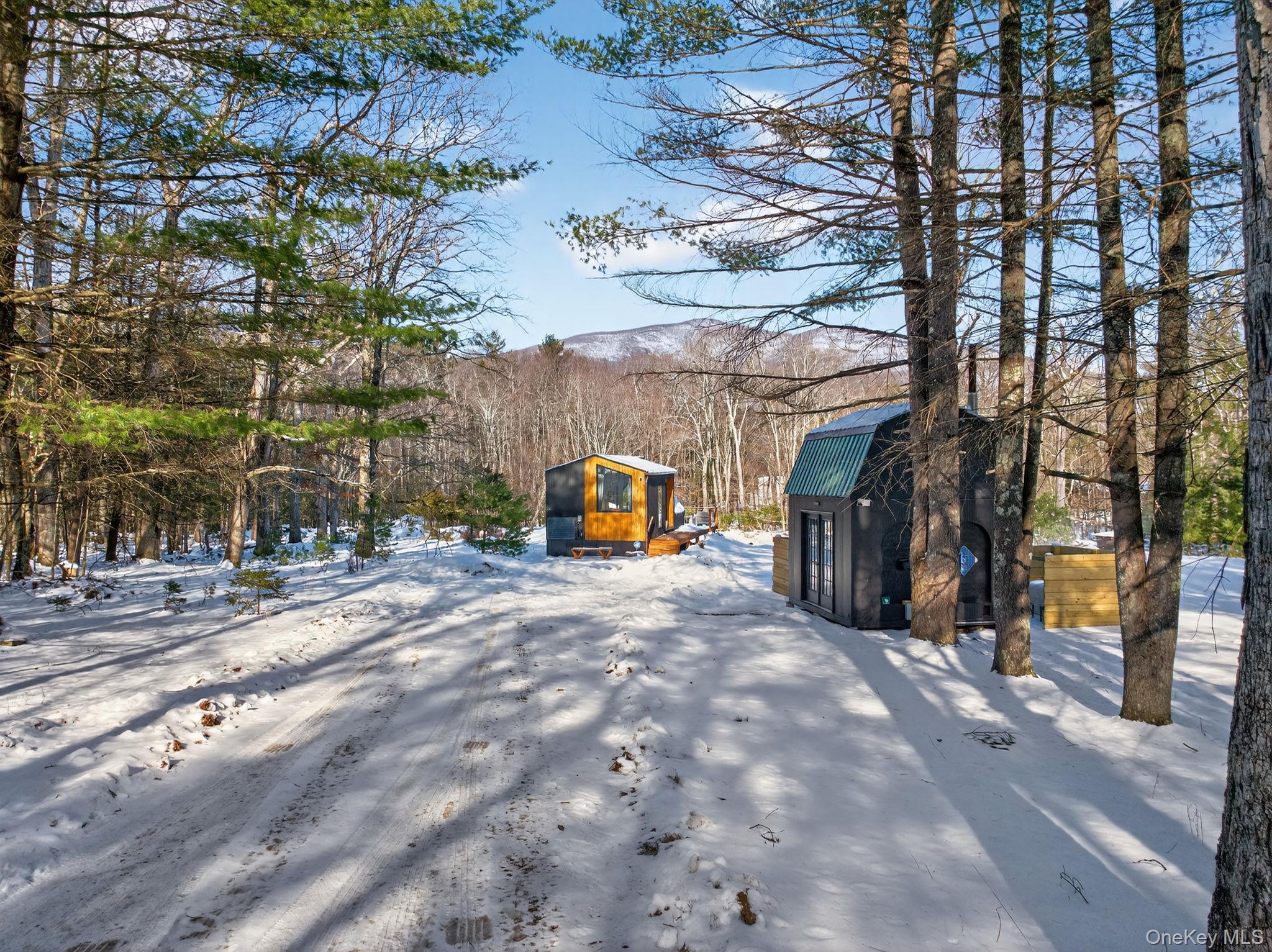 Single Family Kelder  Ulster County, NY 12461, MLS-921716-38