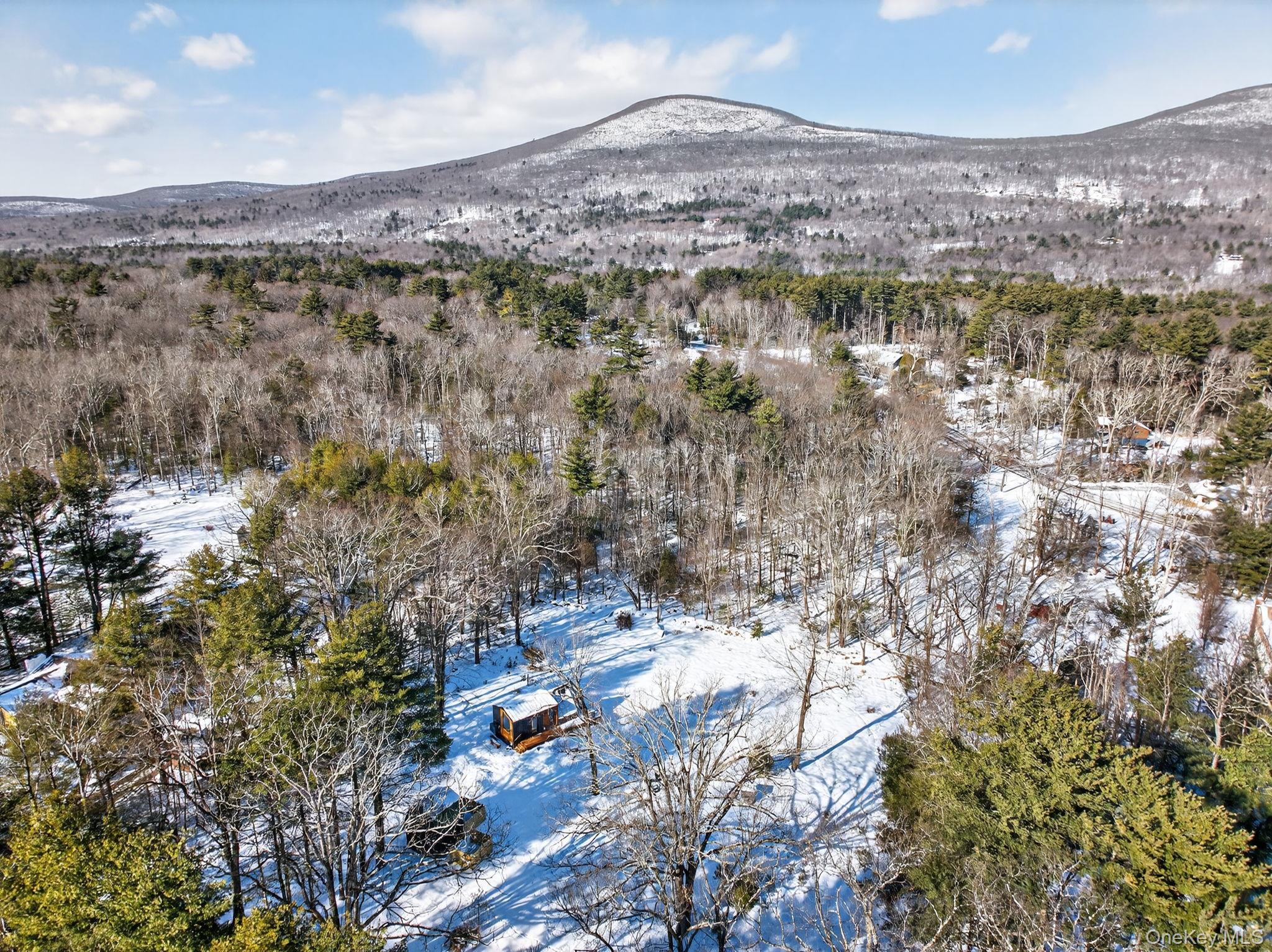 Single Family Kelder  Ulster County, NY 12461, MLS-921716-40