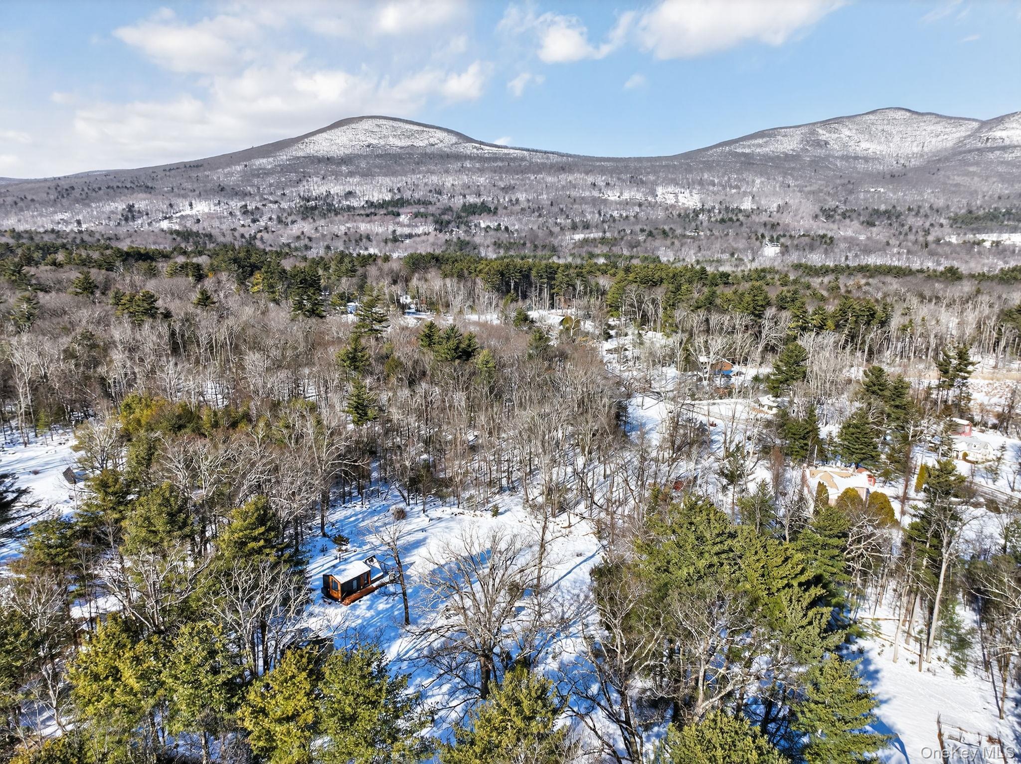 Single Family Kelder  Ulster County, NY 12461, MLS-921716-41