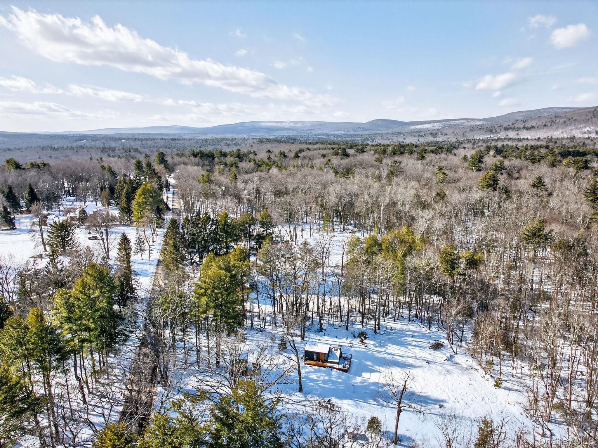 Single Family Kelder  Ulster County, NY 12461, MLS-921716-42