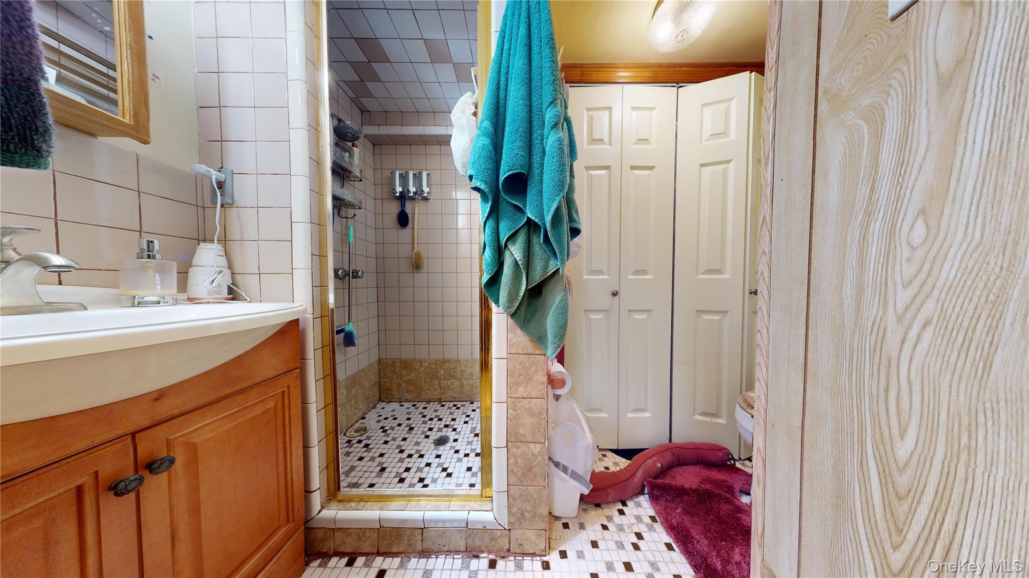 Single Family Berriman  Brooklyn, NY 11208, MLS-921766-20