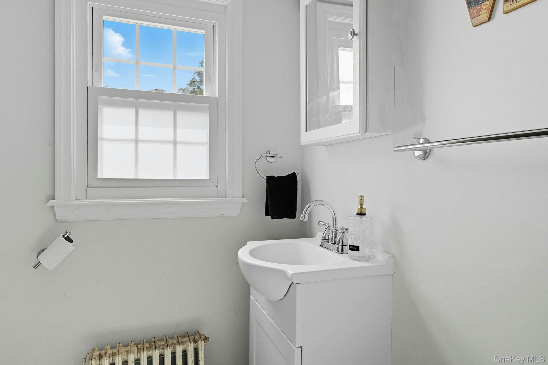 Single Family Linden Nassau County, NY 11793, MLS-921769-24