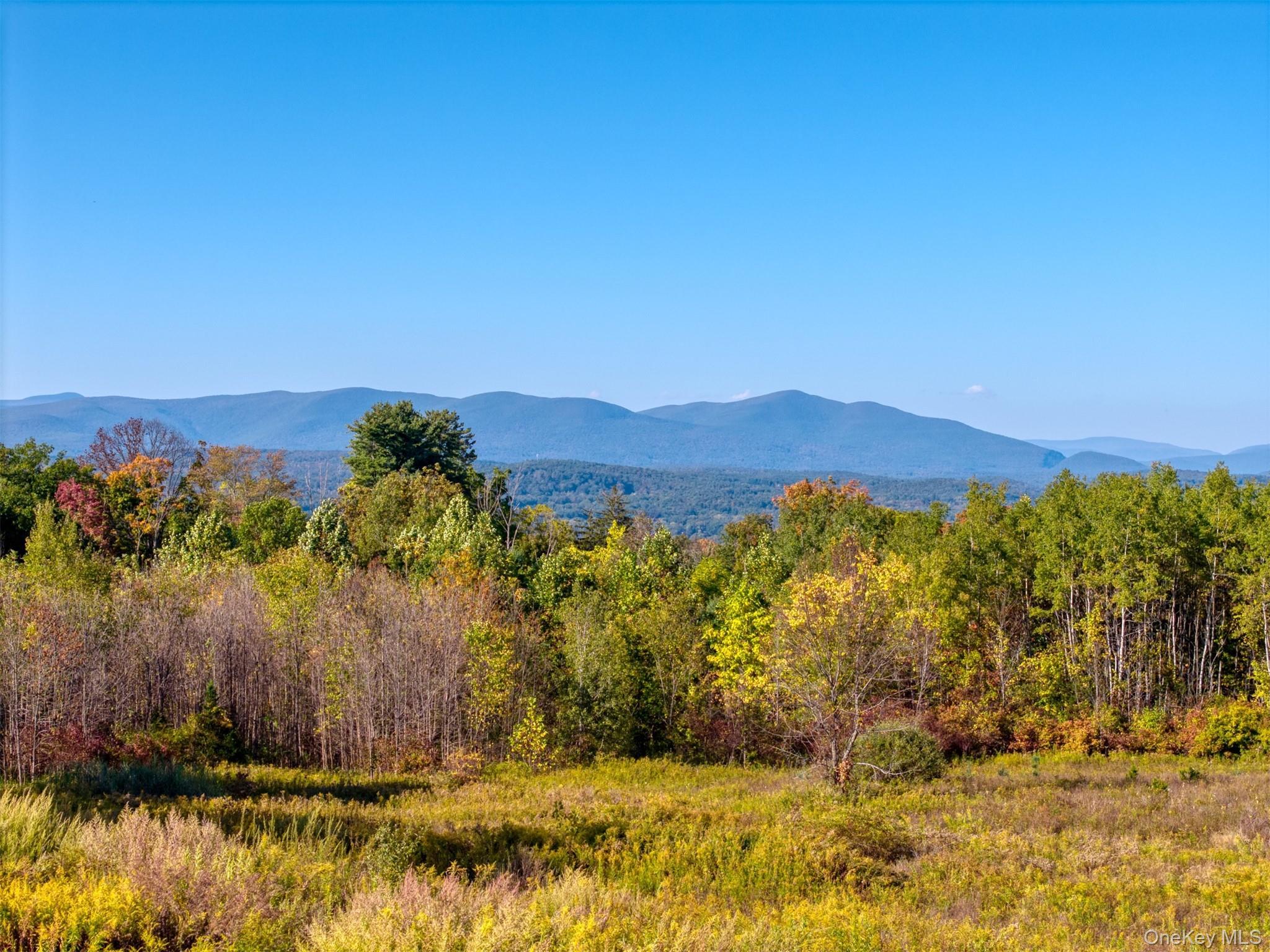 Single Family Route 44 55 Ulster County, NY 12446, MLS-921807-3