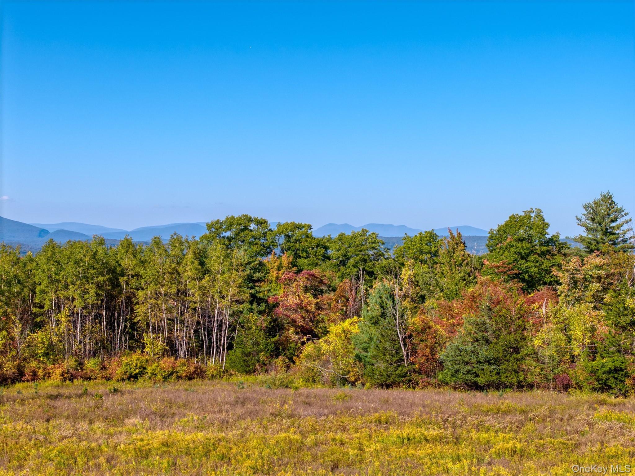 Single Family Route 44 55 Ulster County, NY 12446, MLS-921807-4