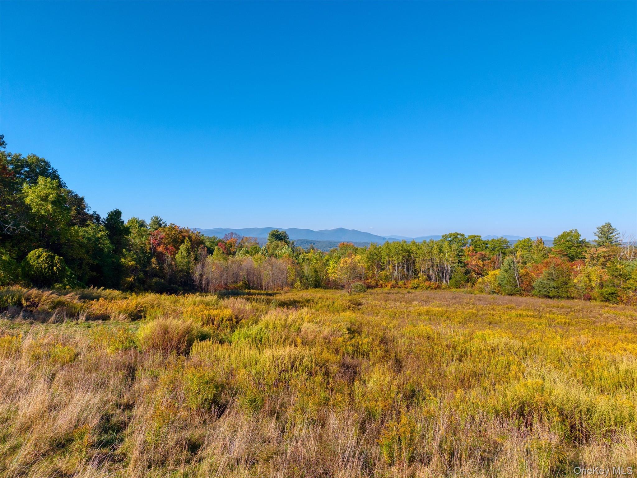 Single Family Route 44 55 Ulster County, NY 12446, MLS-921807-45