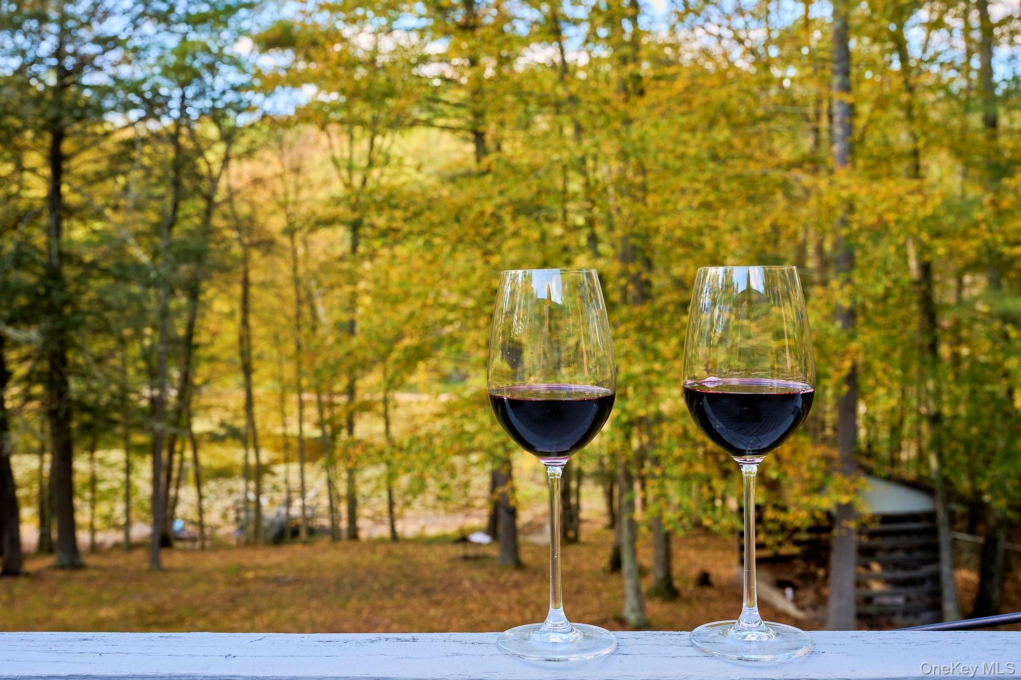 Single Family Pitio Sullivan County, NY 12737, MLS-921902-10