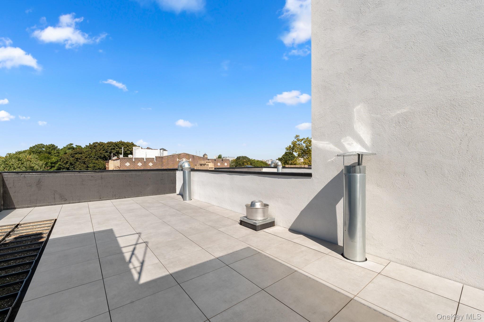 Single Family Fenimore St Brooklyn, NY 11225, MLS-921904-45