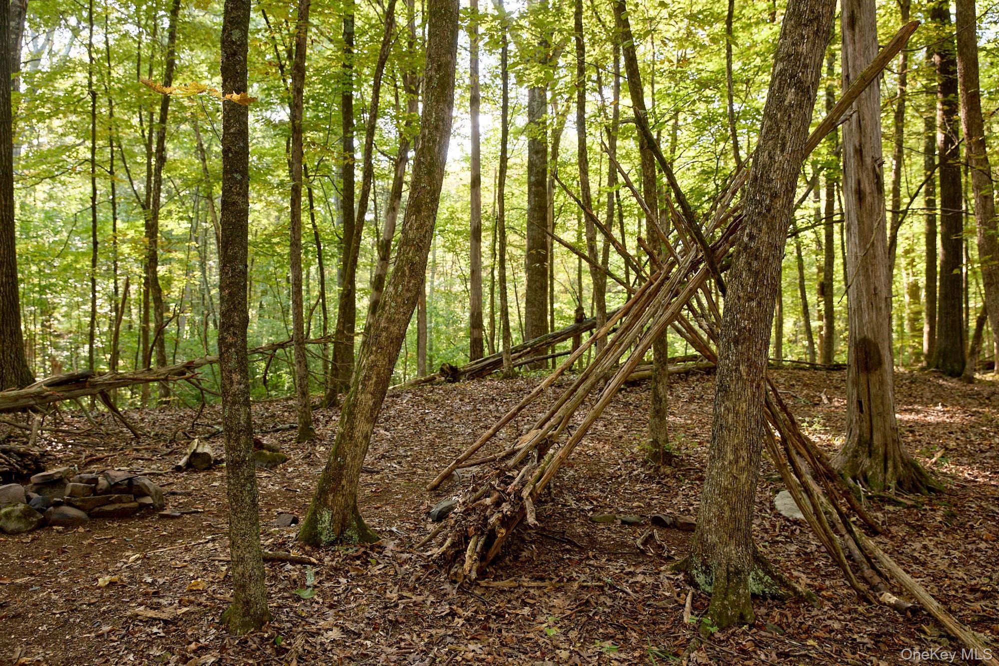 Single Family Shivertown Ulster County, NY 12561, MLS-921907-11