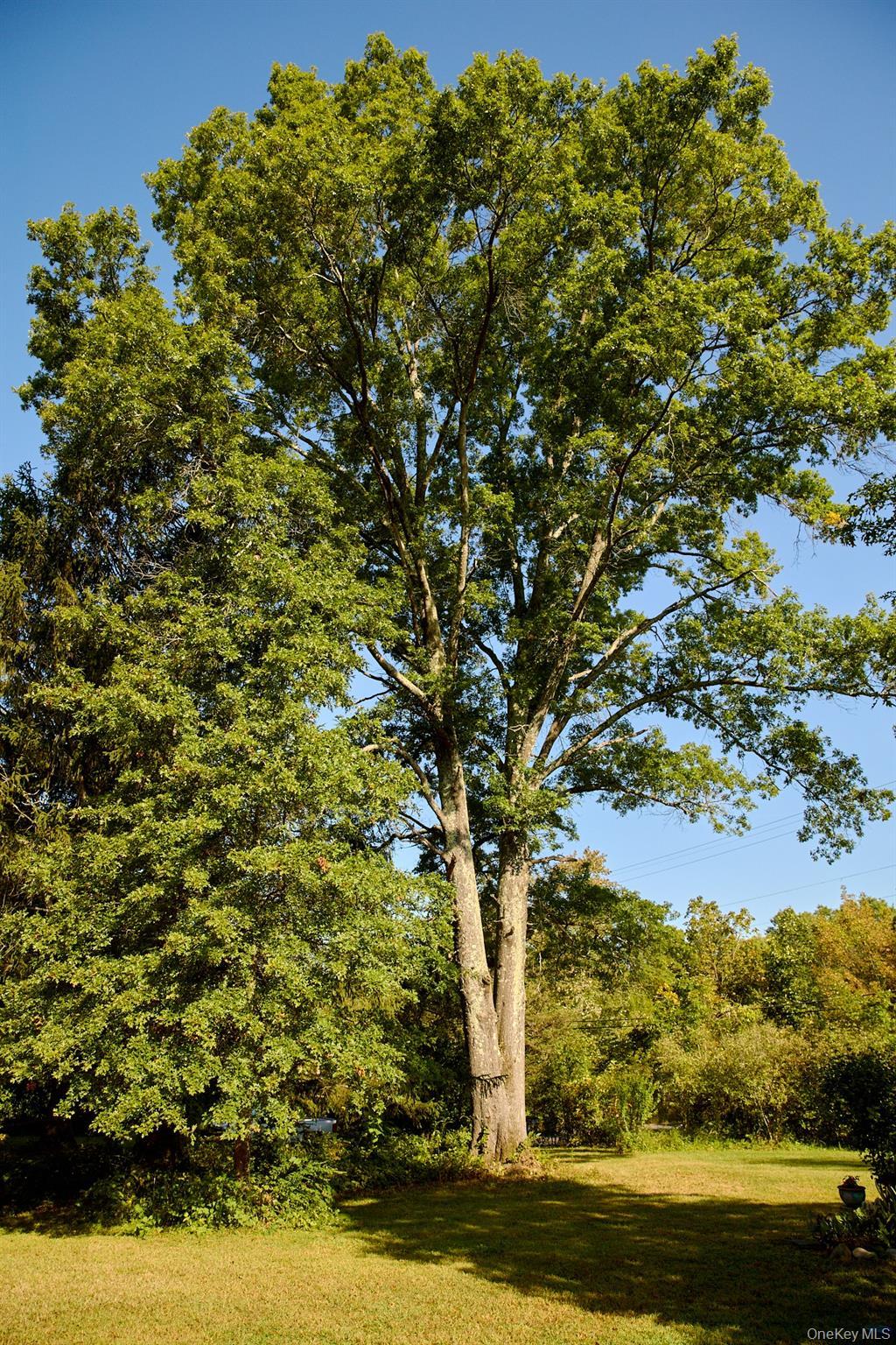 Single Family Shivertown Ulster County, NY 12561, MLS-921907-31