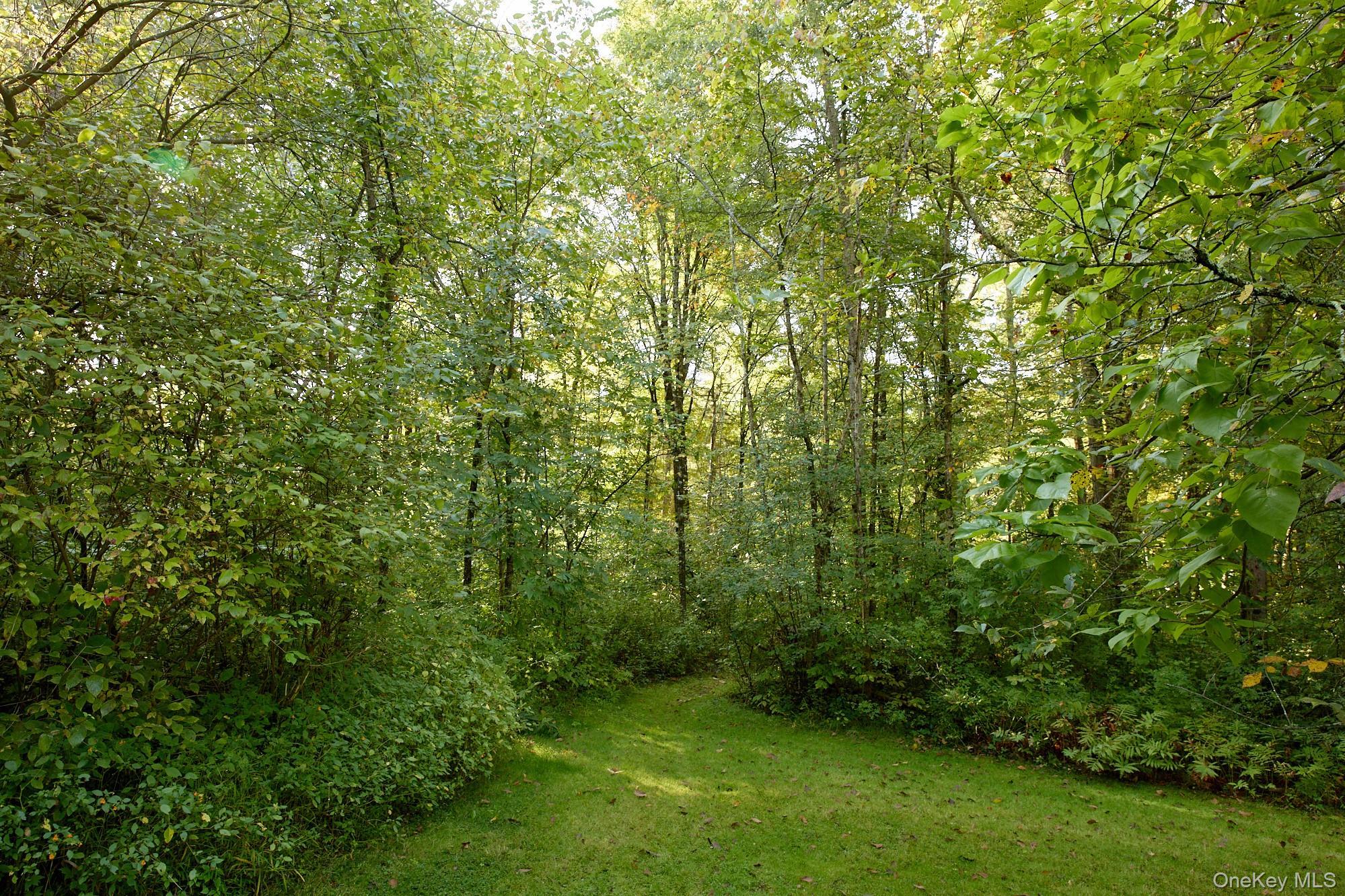 Single Family Shivertown Ulster County, NY 12561, MLS-921907-7