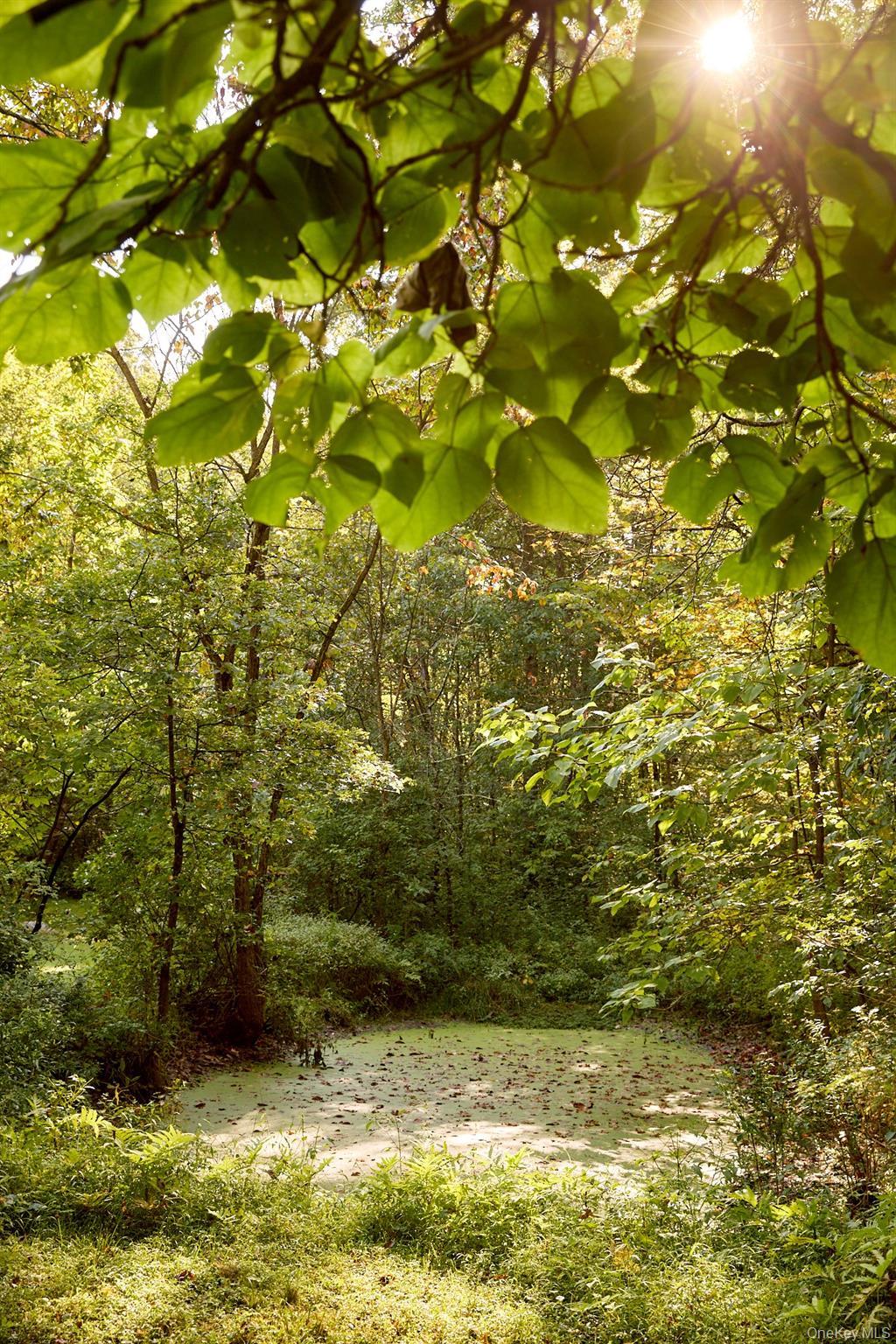 Single Family Shivertown Ulster County, NY 12561, MLS-921907-8