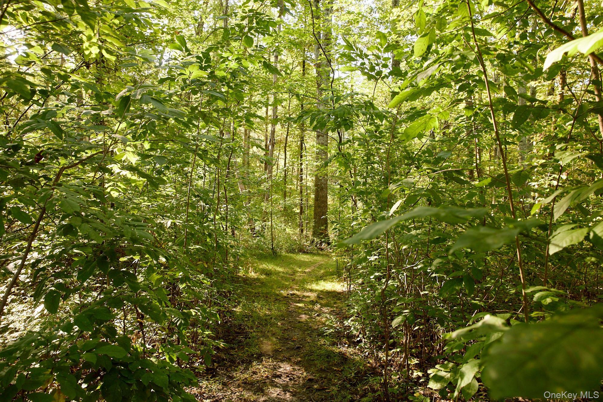 Single Family Shivertown Ulster County, NY 12561, MLS-921907-9