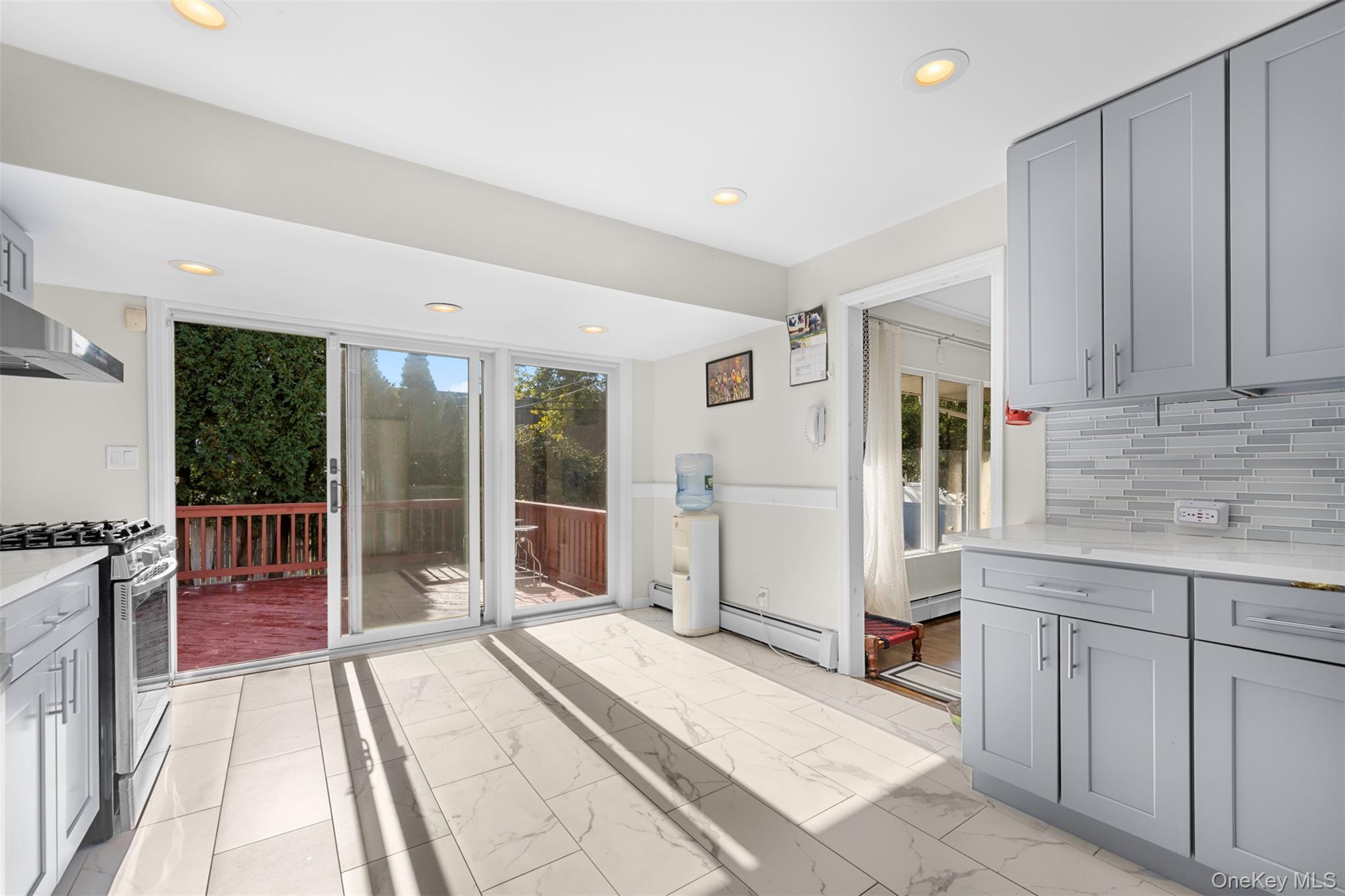 Single Family Phipps Nassau County, NY 11803, MLS-921963-15