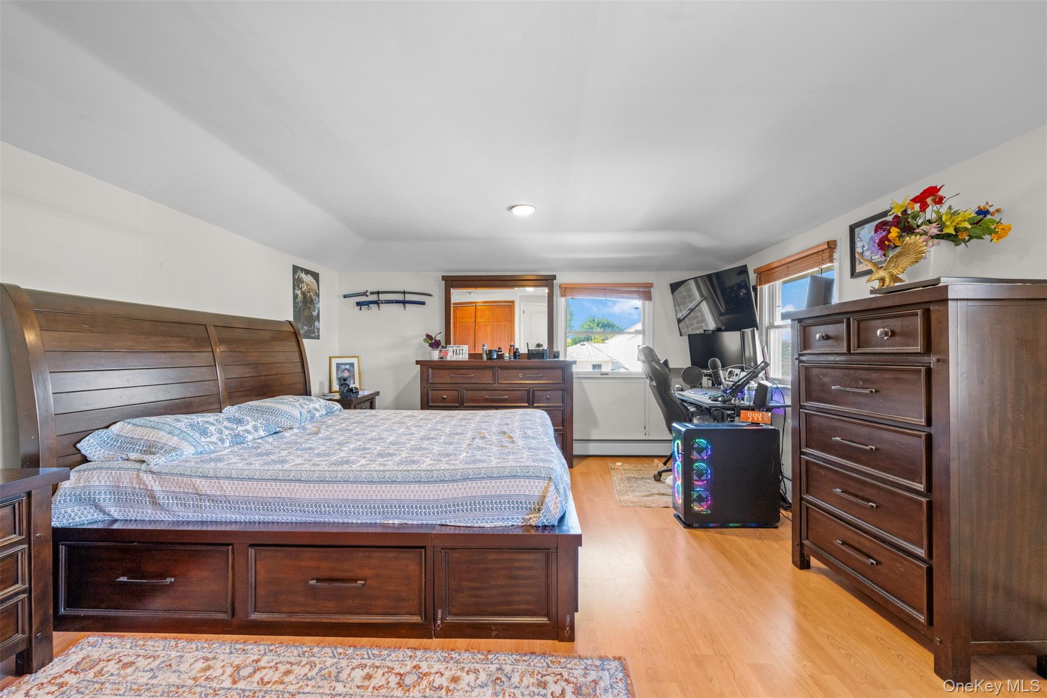 Single Family Phipps Nassau County, NY 11803, MLS-921963-37