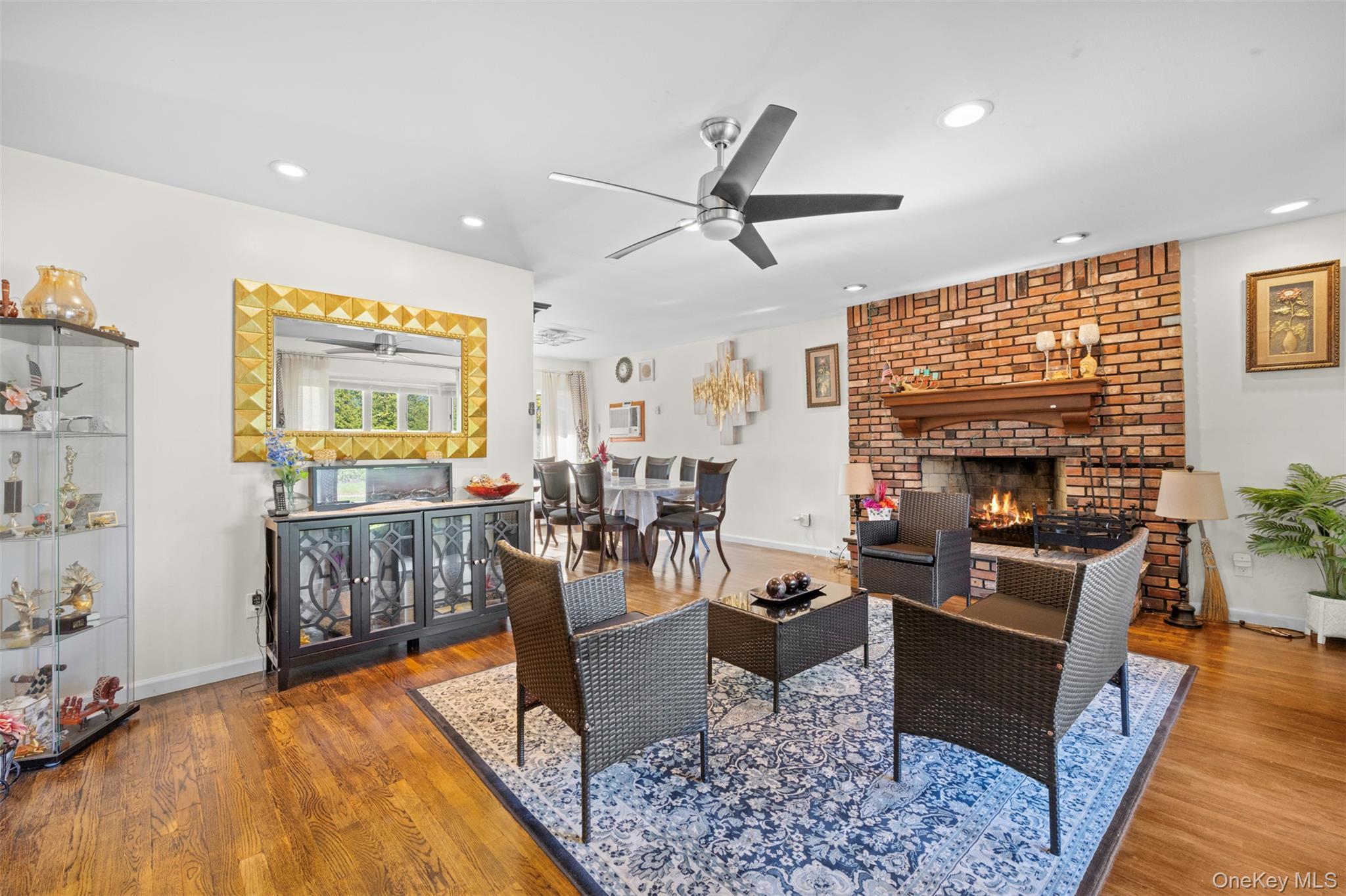 Single Family Phipps Nassau County, NY 11803, MLS-921963-7