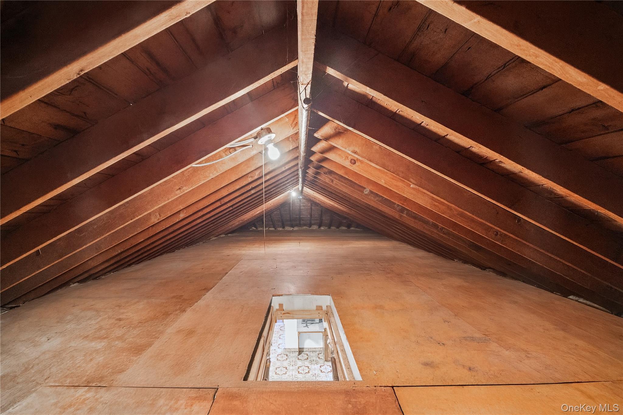 Single Family Mahan  Bronx, NY 10461, MLS-922004-14