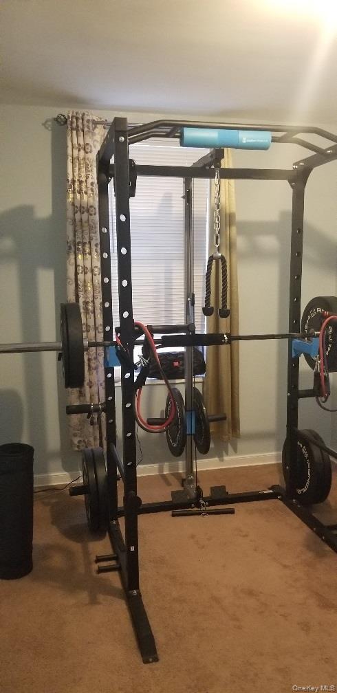 Coop Knapp  Brooklyn, NY 11229, MLS-922008-14