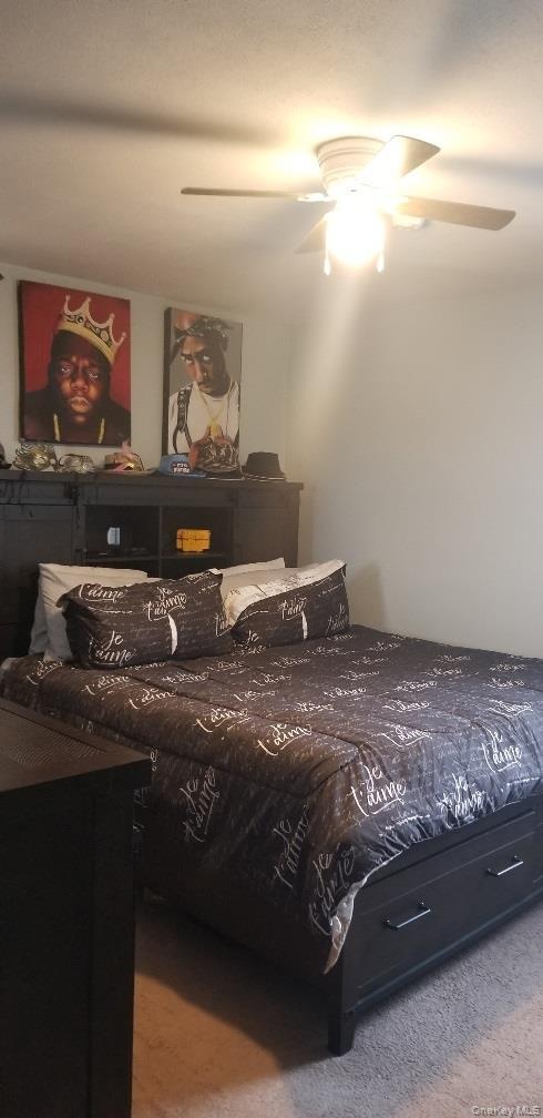 Coop Knapp  Brooklyn, NY 11229, MLS-922008-17