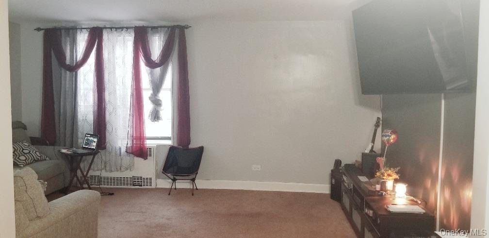 Coop Knapp  Brooklyn, NY 11229, MLS-922008-24