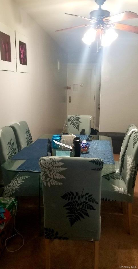 Coop Knapp  Brooklyn, NY 11229, MLS-922008-3