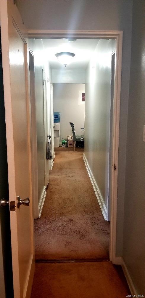 Coop Knapp  Brooklyn, NY 11229, MLS-922008-4