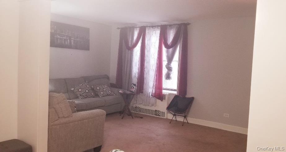 Coop Knapp  Brooklyn, NY 11229, MLS-922008-6