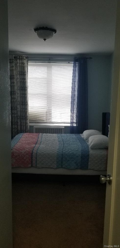 Coop Knapp  Brooklyn, NY 11229, MLS-922008-7