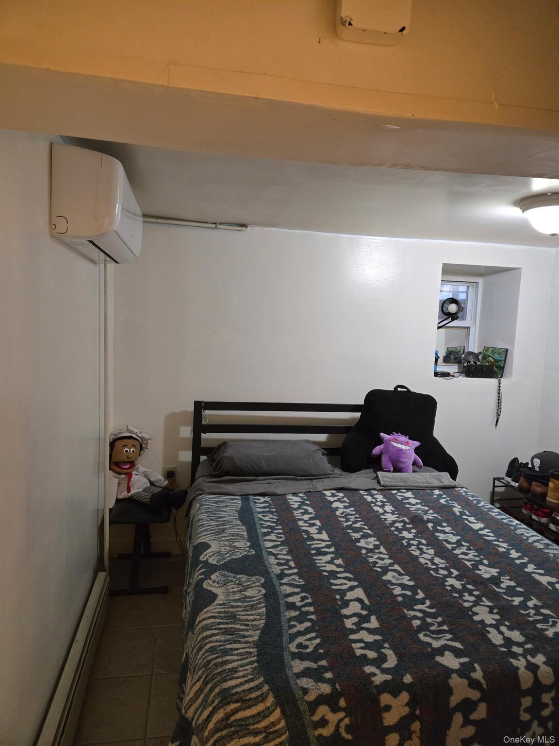 Single Family Ashford  Brooklyn, NY 11207, MLS-922011-10