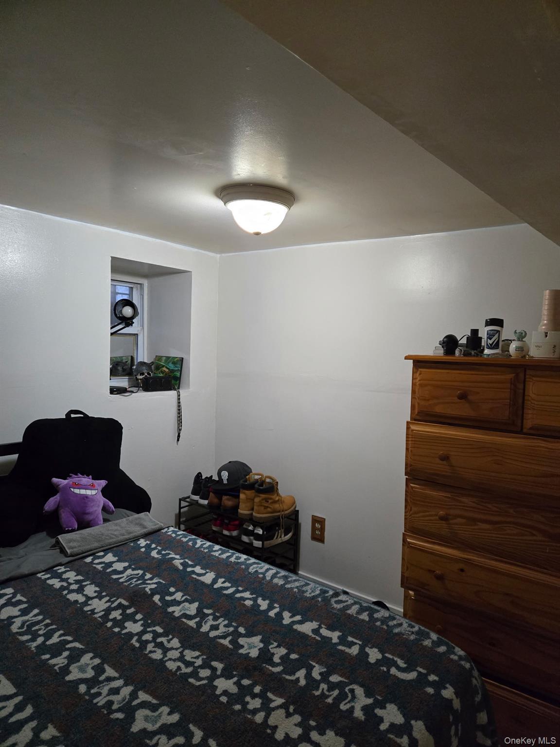 Single Family Ashford  Brooklyn, NY 11207, MLS-922011-12