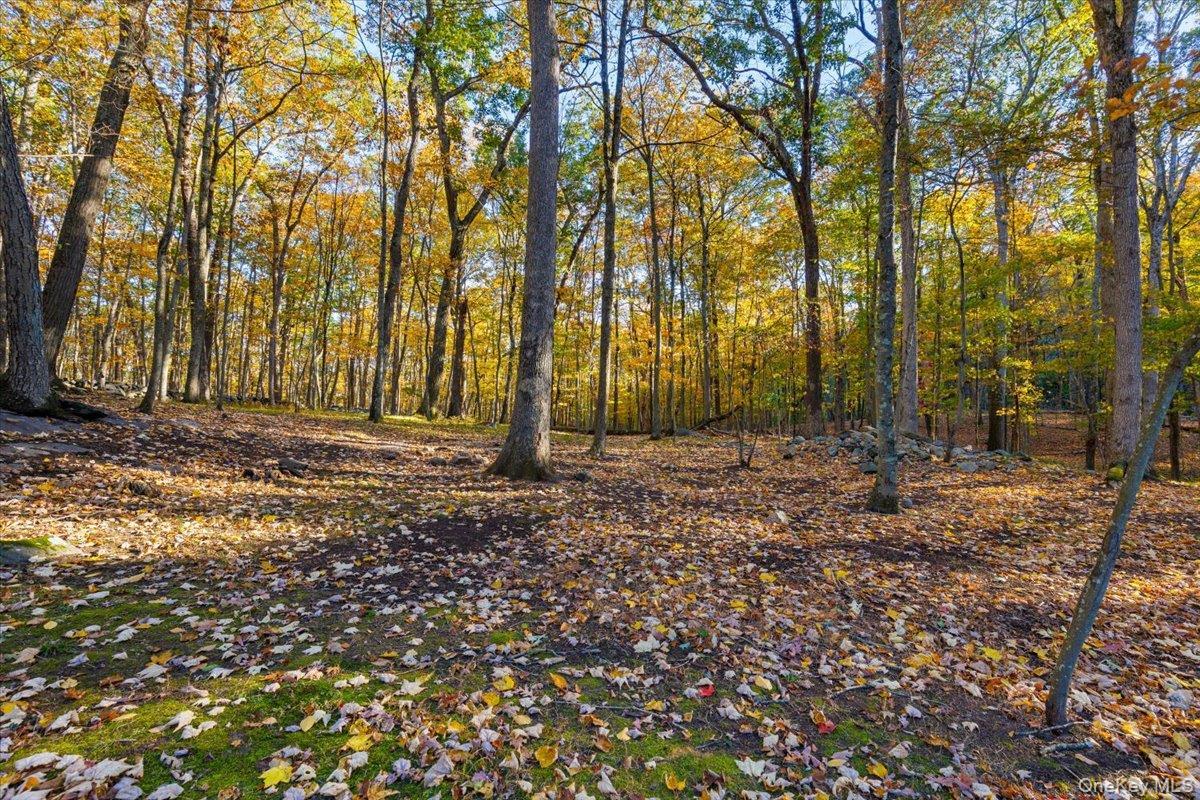 Single Family Whittier Hills Westchester County, NY 10560, MLS-922018-43